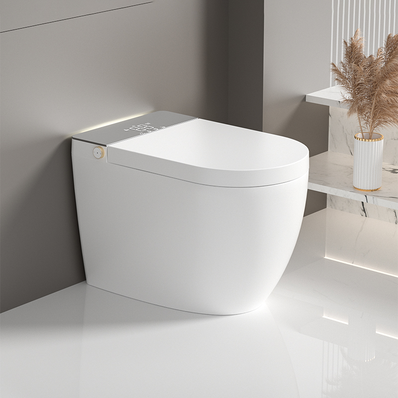 toilet 4.jpg